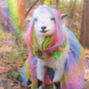 Meet your Posher, Ranelle